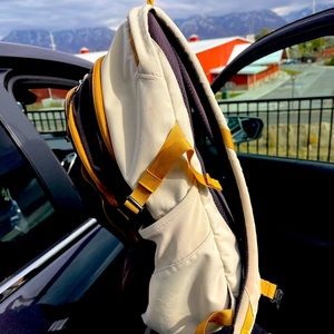 Patagonia Refugio 28L Day Pack.